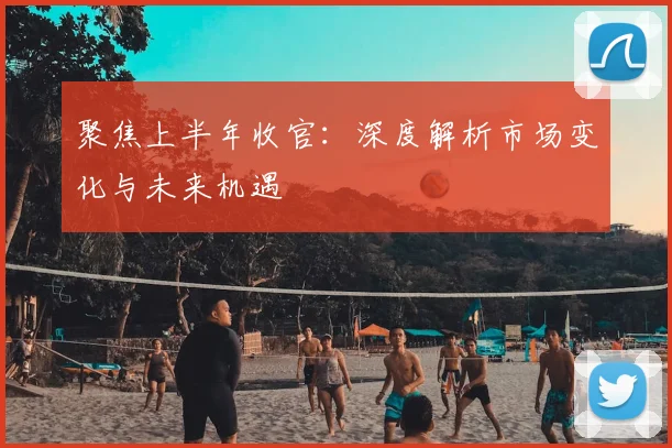 聚焦上半年收官：深度解析市场变化与未来机遇